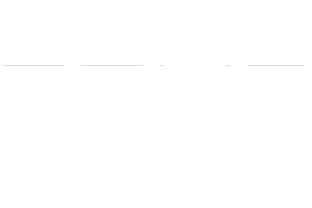 3DWS